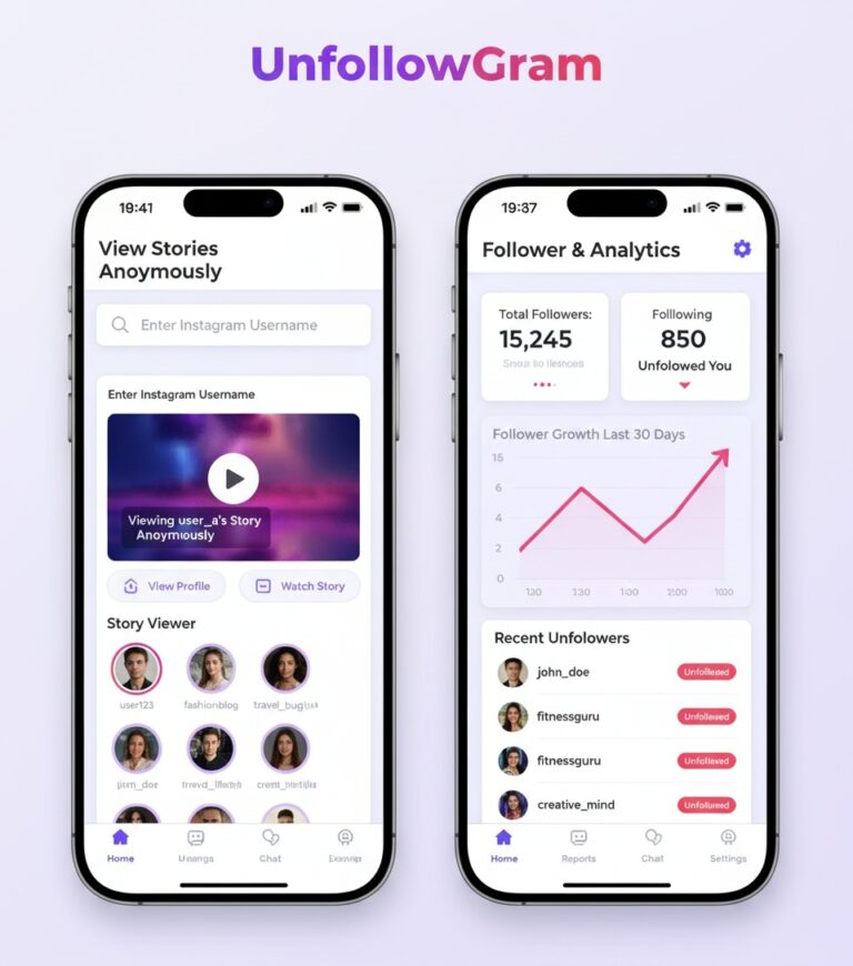 Insta Stories Viewer